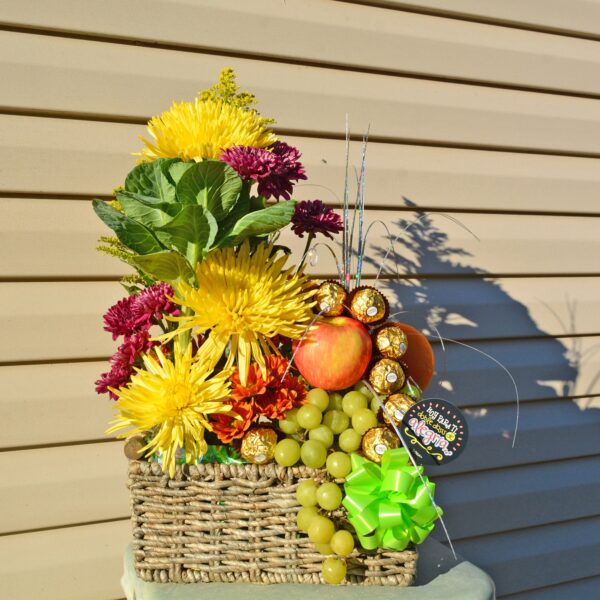 Aurora Basket